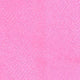 Fuschia