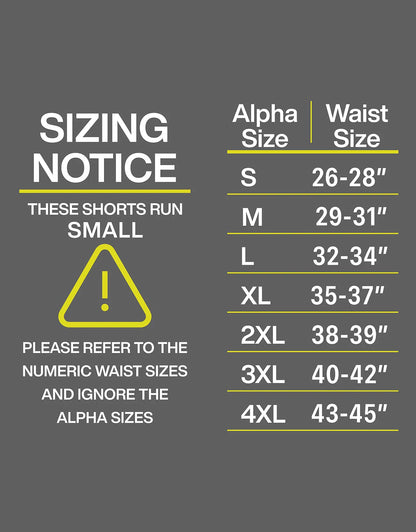 Zilpu Mens Quick Dry Athletic Performance Shorts wi/Zipper Pocket (5 inch)